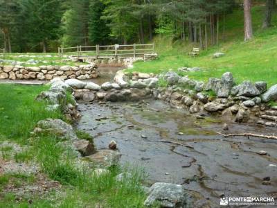 Puerto,Chorro Navafría; camino puricelli valle del alberche ruta de los pescadores ruta cuerda larg